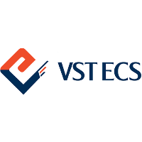 Vstecs share price