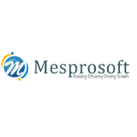 Mesprosoft 2026 Company Profile: Valuation, Funding & Investors | PitchBook