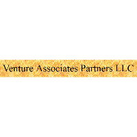 Venture Associates Partners