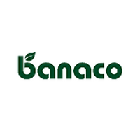 Banaco 2026 Company Profile: Valuation, Funding & Investors | PitchBook