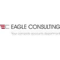 Eagle Consulting 2026 Company Profile: Valuation, Investors ...