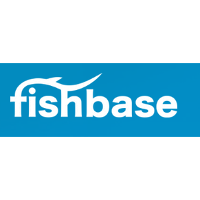 Fishbase Group Company Profile: Valuation, Funding & Investors | PitchBook