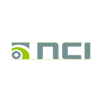 NCI (IT Consulting Services)