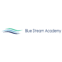 Blue Stream Academy 2026 Company Profile: Valuation, Investors ...