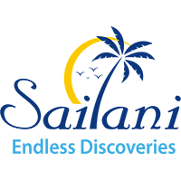 Sailani Tours n Travels 2025 Company Profile: Stock Performance ...