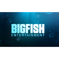 Big Fish Entertainment Company Profile: Valuation, Investors ...