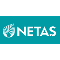Netas Telekomunikasyon 2026 Company Profile: Stock Performance ...