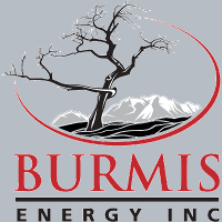 Burmis Energy