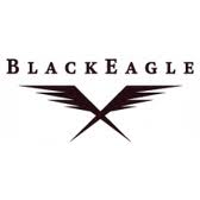 BlackEagle Partners