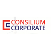 Consilium Corporate Company Profile: Service Breakdown & Team | PitchBook