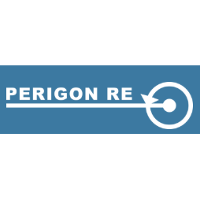 Perigon Re Holdings (UK) Company Profile: Service Breakdown & Team ...