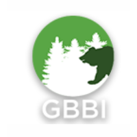 GBBI 2026 Company Profile: Valuation, Funding & Investors | PitchBook