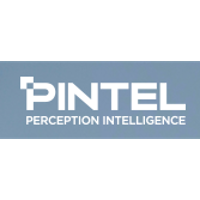 Pintel 2026 Company Profile: Stock Performance & Earnings | PitchBook