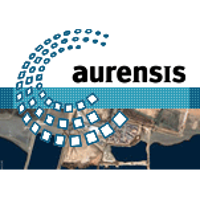 Aurensis