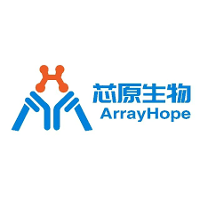 ArrayHope 2026 Company Profile: Valuation, Funding & Investors | PitchBook