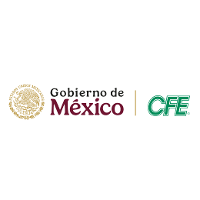Comisión Federal de Electricidad 2026 Company Profile: Valuation ...