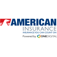 American Insurance & Investment 2026 Company Profile: Valuation ...