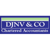 DJNV Company Profile: Service Breakdown & Team | PitchBook