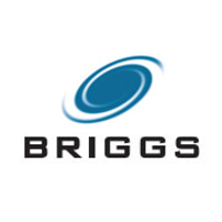 Briggs Group