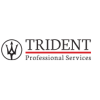 Trident Professional Services 2026 Company Profile: Valuation, Funding ...