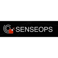 Senseops (IT Consulting and Outsourcing) 2026 Company Profile ...