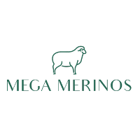 Mega Merinos 2026 Company Profile: Valuation, Funding & Investors ...