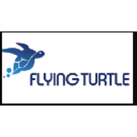 Flying Turtle 2026 Company Profile: Valuation, Funding & Investors ...