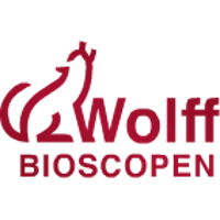 Wolff Bioscopen Holding