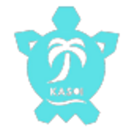 Kasoi 2026 Company Profile: Valuation, Funding & Investors | PitchBook