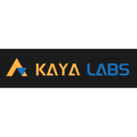 Kaya Labs 2026 Company Profile: Valuation, Funding & Investors | PitchBook