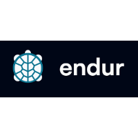 Endur (Business/Productivity Software) 2026 Company Profile: Valuation ...