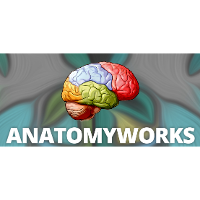 AnatomyWorks