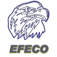 Emirates Falcon Electromechanical Co. 2026 Company Profile: Valuation ...