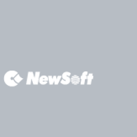 Newsoft Technology 2026 Company Profile: Stock Performance & Earnings ...