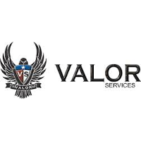 Valiant Professional Services