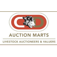 C & D Auction Marts
