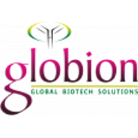 Globion Company Profile 2024: Valuation, Investors, Acquisition | PitchBook