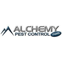 Alchemy Pest Control