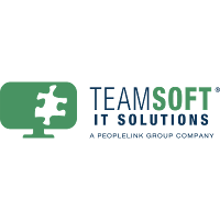 TeamSoft (Human Capital Services)