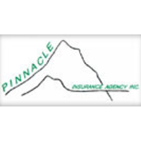 Pinnacle Insurance Agency 2026 Company Profile: Valuation, Investors ...