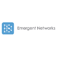 Emergent Network Solutions
