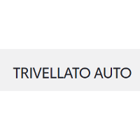Trivellato Auto Company Profile: Valuation, Investors, Acquisition ...