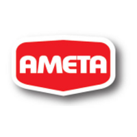 Ameta Holding