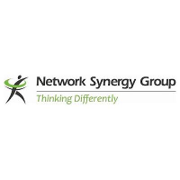 Network Synergy Group