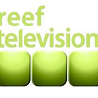 Reef Television