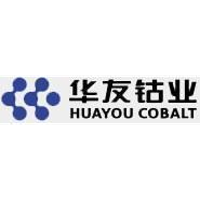 Zhejiang Huayou Cobalt Company
