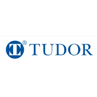 Tudor funds best sale