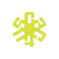 dracaena deremensis lemon Dracaena Lemon Lime | Care Guide and Pro Tips - Delivery from Toronto  across Canada