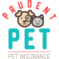 Prudent Pet Company Profile 2024: Valuation, Funding & Investors ...