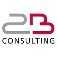 2B Consulting